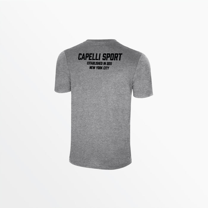 Capelli ADULT UNISEX CS ESTABLISHED TEE Light Heather Grey