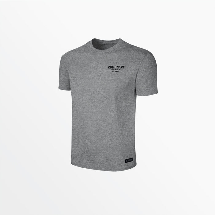 capelli ADULT UNISEX CS ESTABLISHED TEE Light Heather Grey