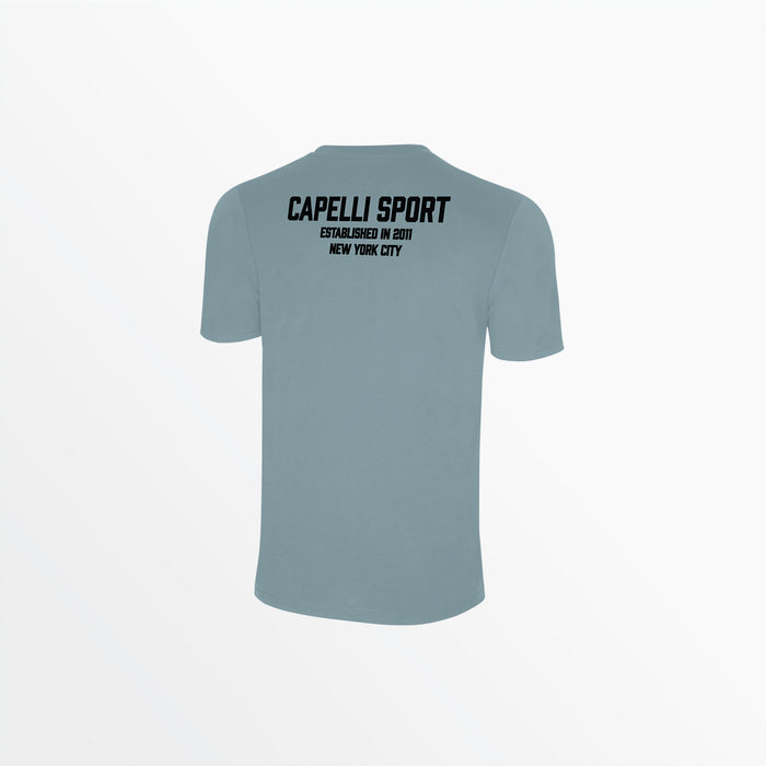 Capelli ADULT UNISEX CS ESTABLISHED TEE Slate Blue